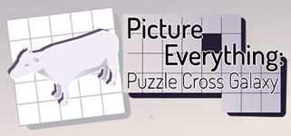 Picture Everything: Puzzle Cross Galaxy cover image