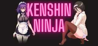 Kenshin Ninja cover image