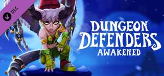 Dungeon Defenders: Awakened - Winter Defenderland cover image