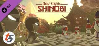 Chess Knights: Shinobi - Tilt Five Edition cover image