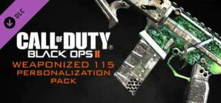 Call of Duty®: Black Ops II - Weaponized 115 Personalization Pack cover image