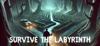 Survive the Labyrinth cover image