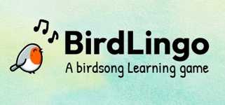 BirdLingo: A birdsong learning game cover image