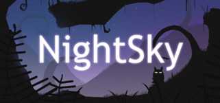 NightSky cover image