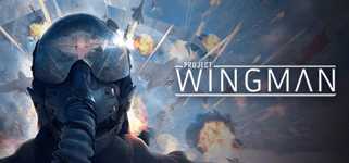 Project Wingman cover image