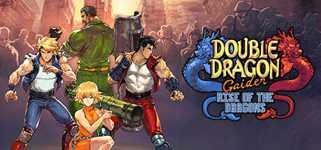 Double Dragon Gaiden: Rise Of The Dragons cover image