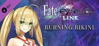 Fate/EXTELLA LINK - Burning Bikini cover image