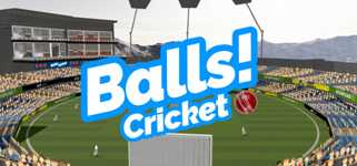 Balls! Virtual Reality Cricket cover image