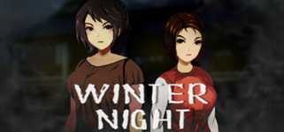 Winter Night cover image