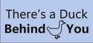 There's a Duck Behind You! cover image