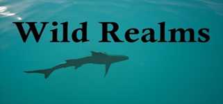 Wild Realms cover image
