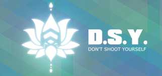 DSY: Don't Shoot Yourself cover image