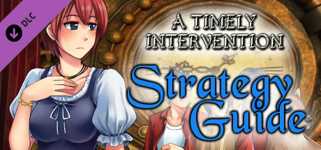 A Timely Intervention - Official Guide cover image