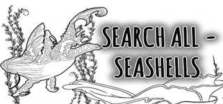 SEARCH ALL - SEASHELLS cover image