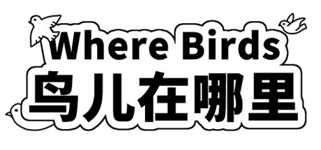 Where Birds 鸟儿在哪里 cover image