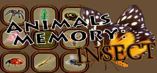 Animals Memory: Insect cover image
