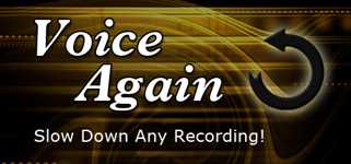 Voice Again cover image