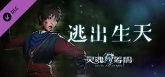 灵魂筹码 - 逃出生天 Soul at Stake - Nightmare Runner cover image