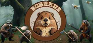 BOBRKUR cover image