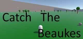 Catch The Beaukes cover image