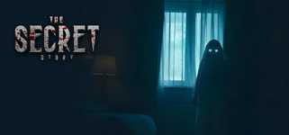 THE SECRET STORY cover image