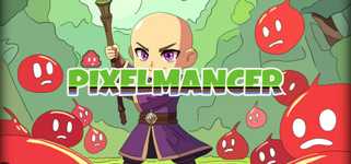 Pixelmancer cover image