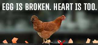 egg is broken. heart is too. cover image