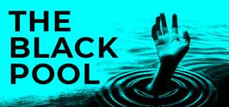 The Black Pool cover image