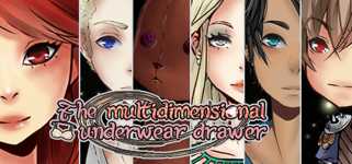 The Multidimensional Underwear Drawer cover image