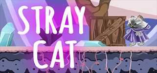 STRAY CAT cover image