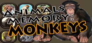 Animals Memory: Monkeys cover image