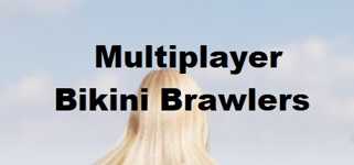 Multiplayer Bikini Brawlers cover image