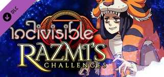 Indivisible - Razmi's Challenges cover image