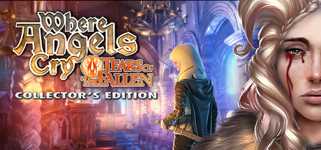 Where Angels Cry: Tears of the Fallen Collector's Edition cover image