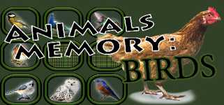 Animals Memory: Birds cover image