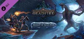 Pillars of Eternity II: Deadfire - Beast of Winter cover image