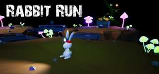 Rabbit Run cover image