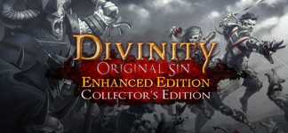 Divinity: Original Sin - Enhanced Edition Collector's Edition cover image