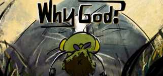 Why God? cover image