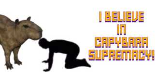 I Believe in Capybara Supremacy! cover image