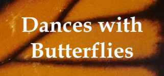 Dances with Butterflies VR cover image