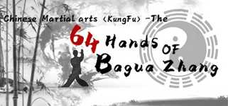 中国传统武术 八卦掌 六十四手 Chinese martial arts (kungfu) The 64 Hands of Bagua Zhang cover image