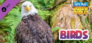Let's Play Jigsaw Puzzles: Birds cover image